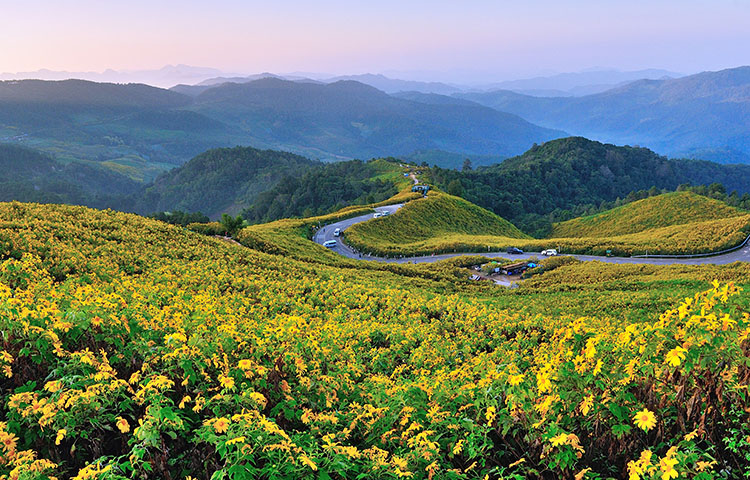 46-295-Beautiful land scape in Mae Hongson